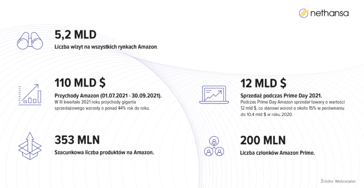 Amazon w liczbach - Nethansa