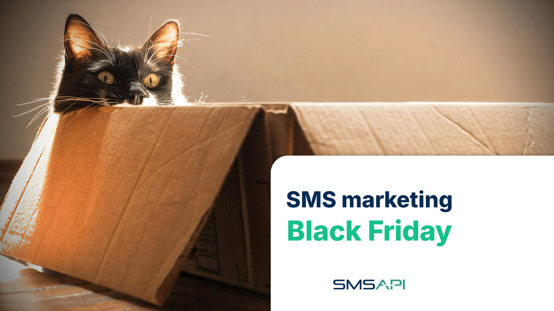 Black Friday SMS Marketing 2023: 7 porad